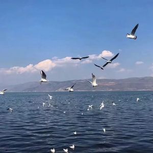 四虎影院在线看
