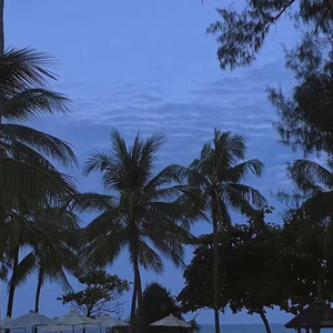 四虎影院在线看
